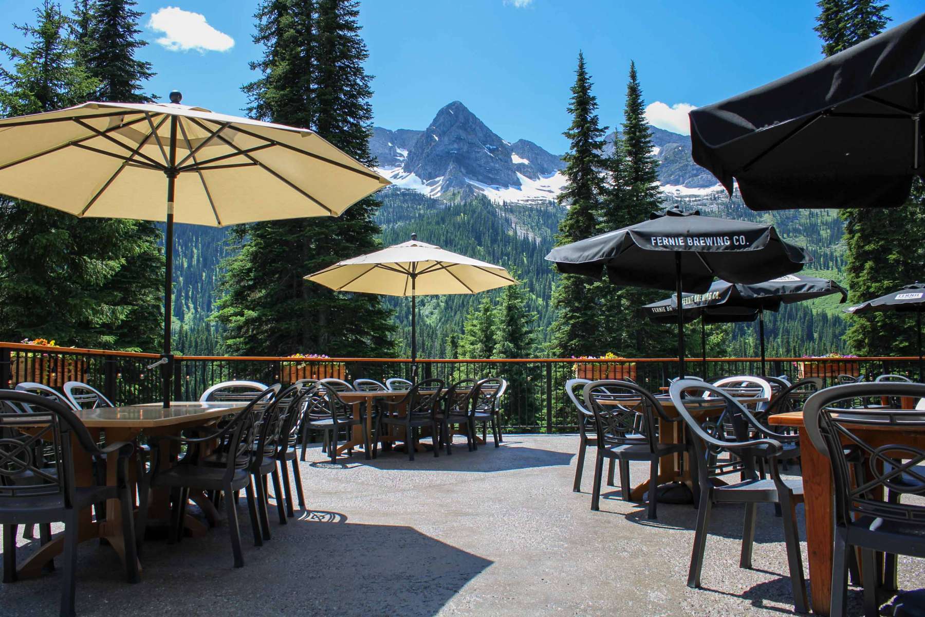 The Bear Bistro at Island Lake Lodge